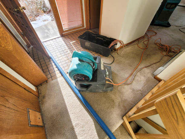 Water damage restoration insurance claims in Brighton, TN